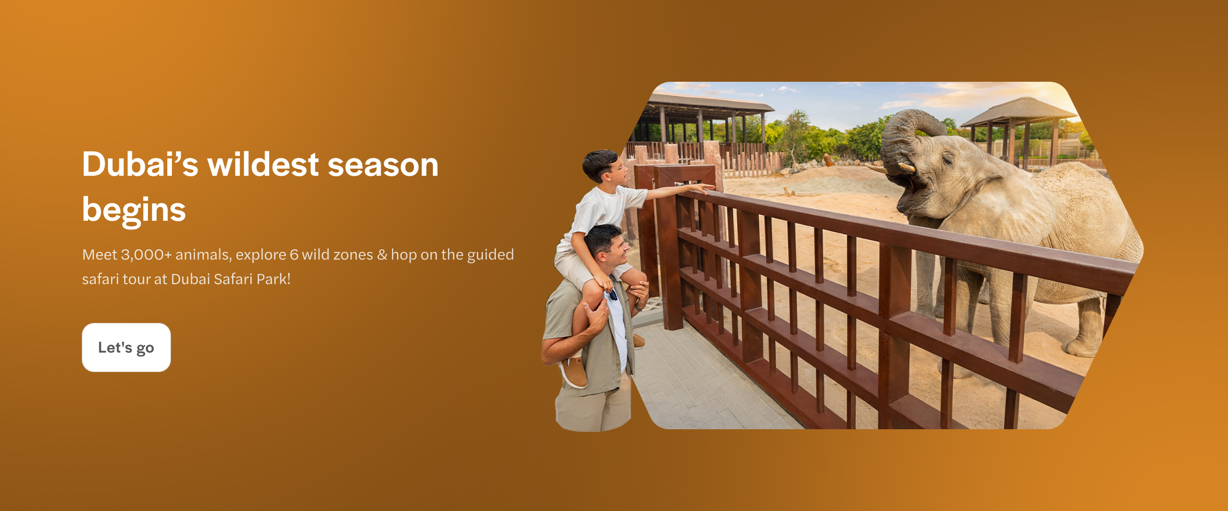 Father and son observing an elephant at Dubai Safari Park.